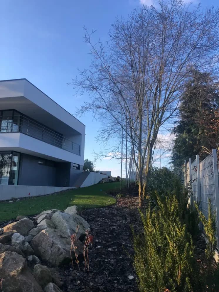 Rodinný dům Doubravčice – fotografie 5